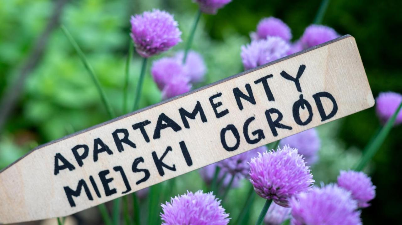 Miejski Ogrod *